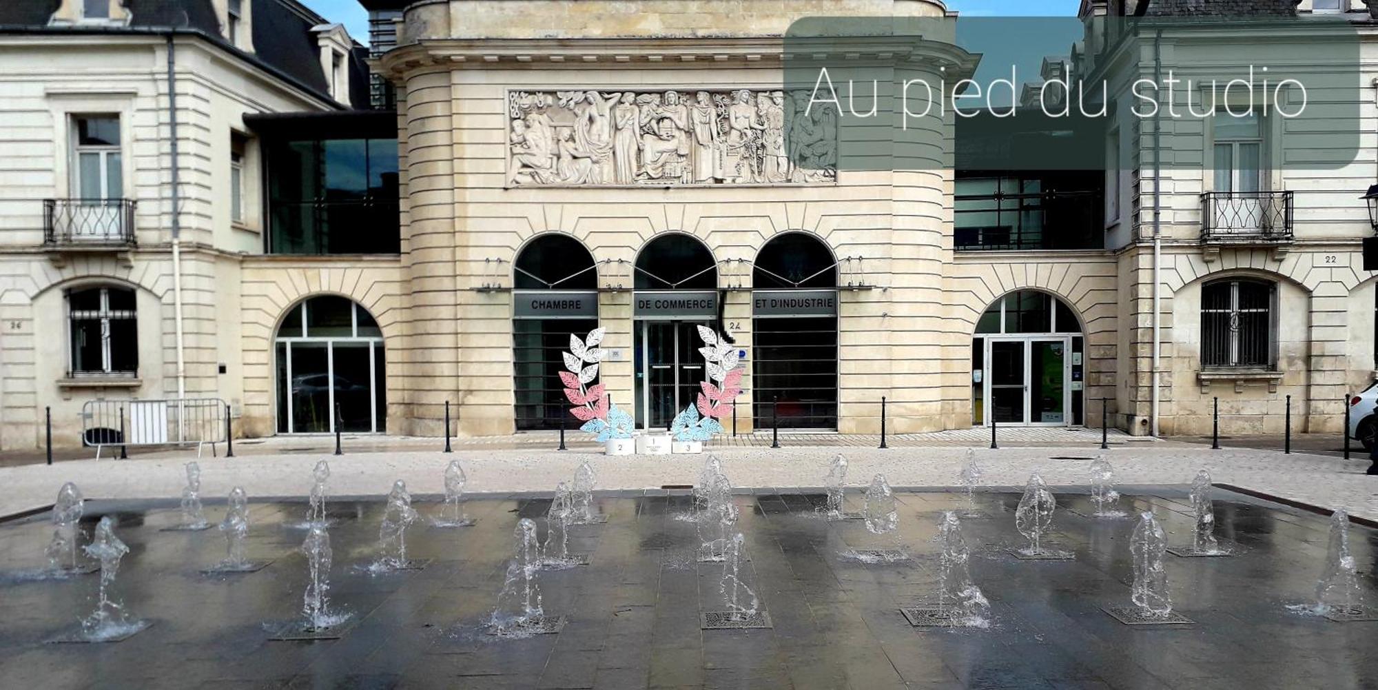 Studio "Les Fontaines" Châteauroux Kültér fotó